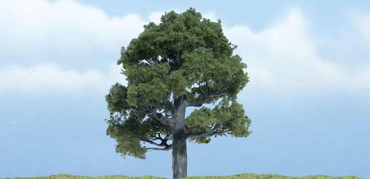 Oak Tree 3" - Click Image to Close