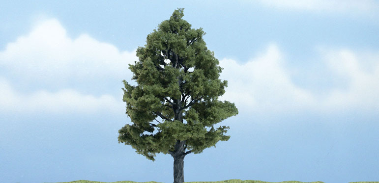 Sweetgum Tree 4" - Click Image to Close