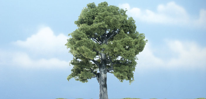 Oak Tree 5" - Click Image to Close