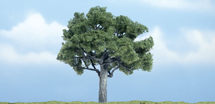Walnut Tree 4" - Click Image to Close